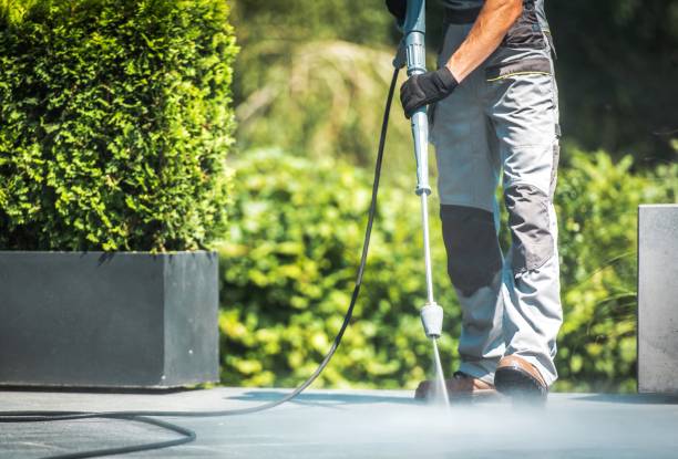 Best Solar Panel Cleaning  in Stillwater, MN